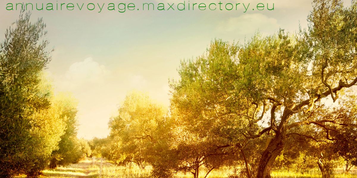 annuairevoyage.maxdirectory.eu
